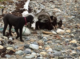 IMG_0636