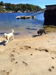 IMG_0015