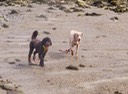 IMG 0212