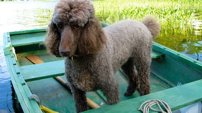 maddy in boat