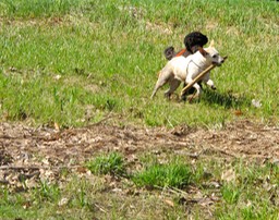 IMG 0301
