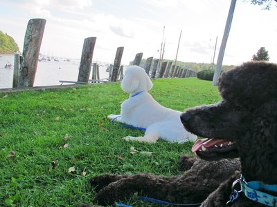 zak and lindy
