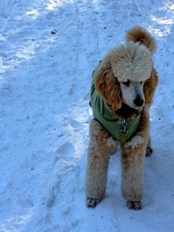 IMG_0852