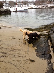 IMG_0876
