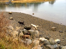IMG_1098