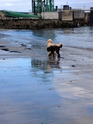 IMG_1166