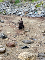 IMG_1207