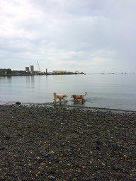 IMG_1211