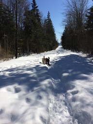 IMG_1383