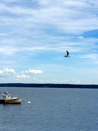 IMG_1434