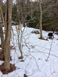 IMG_1643