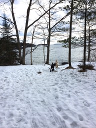 IMG_1645