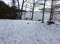 IMG_1647