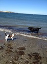 IMG 1693