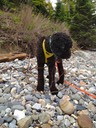 IMG 2086