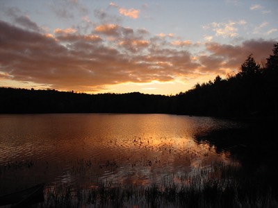 levenseller pond/dusk