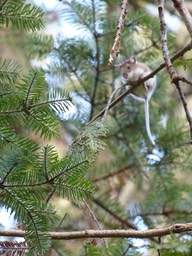 P1000553.JPG